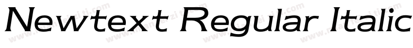Newtext Regular Italic BT字体转换